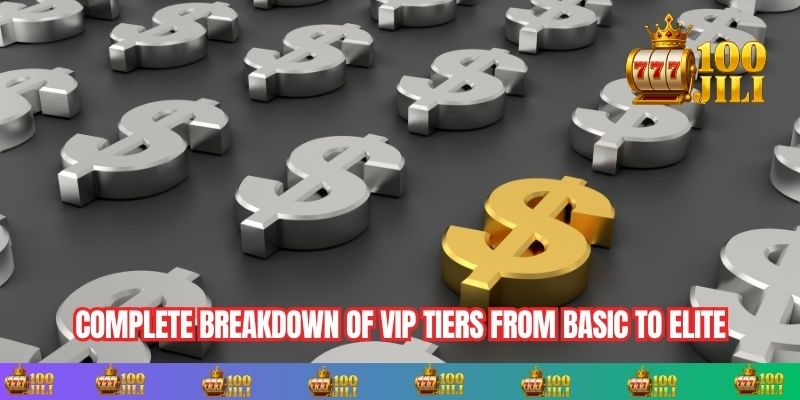 Complete Breakdown of VIP Tiers from Basic to Elite