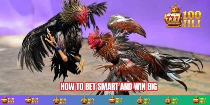 How to Bet Smart and Win Big