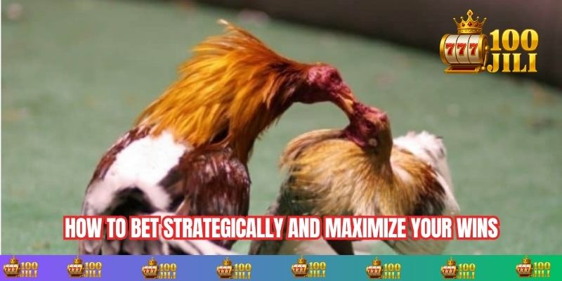 How to Bet Strategically and Maximize Your Wins