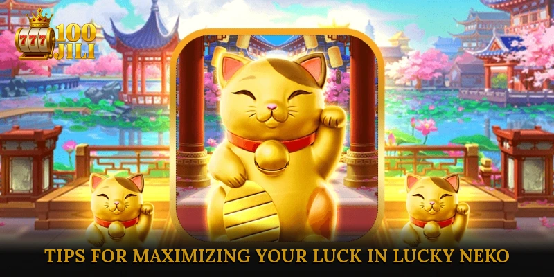 Tips for Maximizing Your Luck in Lucky Neko