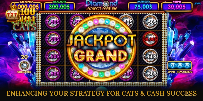 Enhancing Your Strategy for Cats & Cash Success