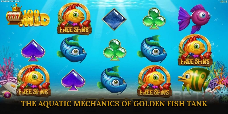 Uncovering the Aquatic Mechanics of Golden Fish Tank