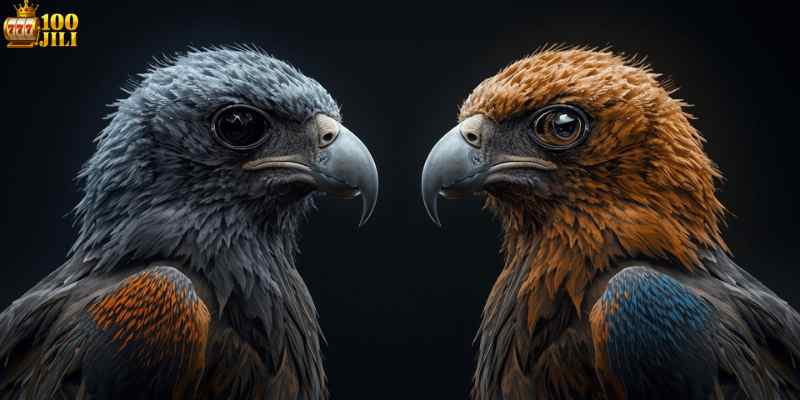 How Live Cockfighting Platforms Work